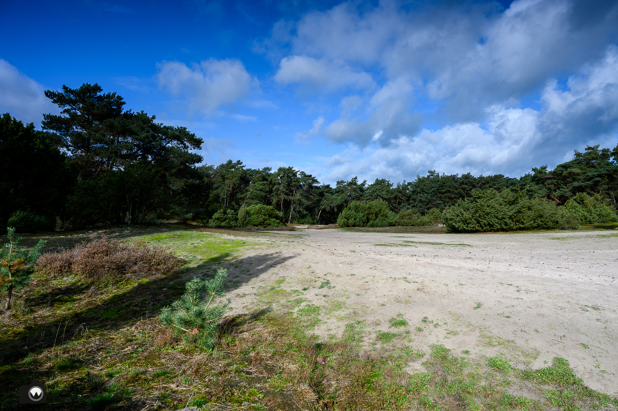 Wandelen door het Vechtdal