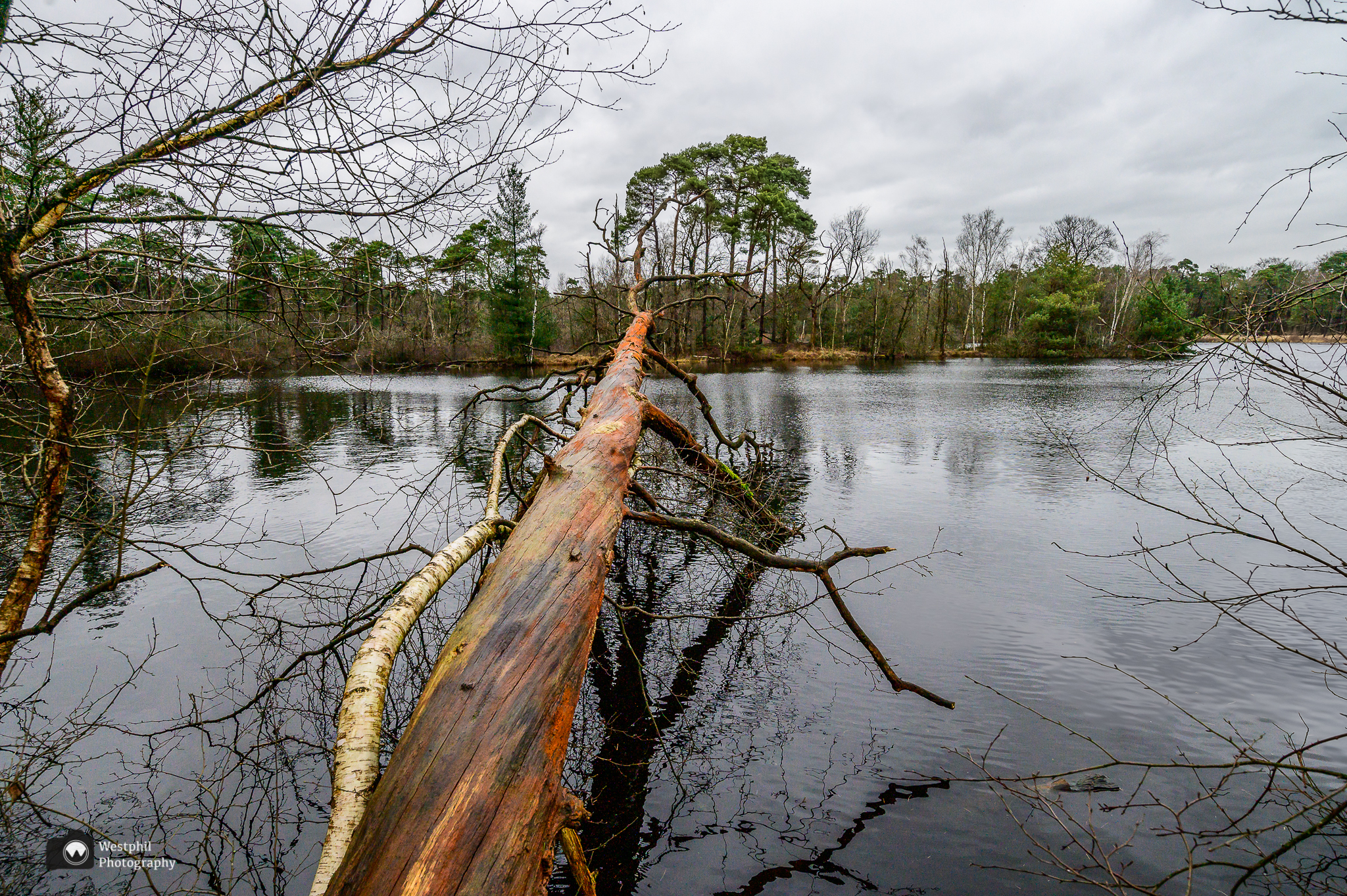 Wandelroute Goorven door de Oisterwijkse bossen