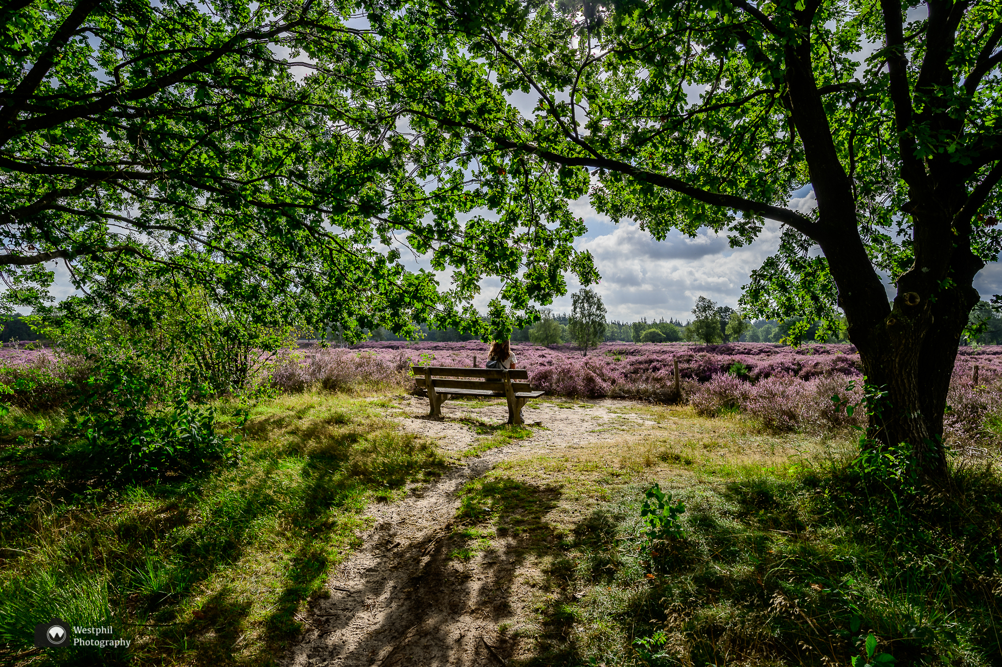 Twee boswachterspaden Stulp en kasteeltuin