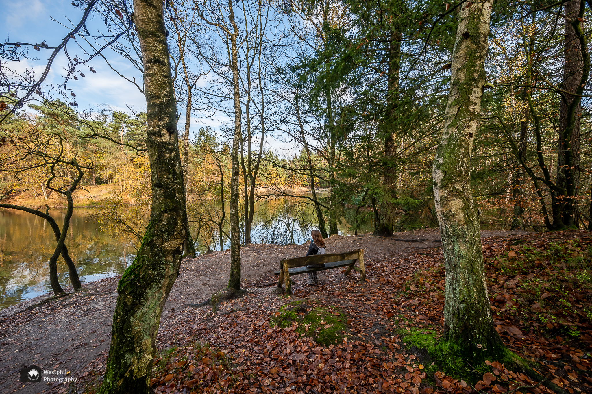 Wandelen door de Soesterduinen