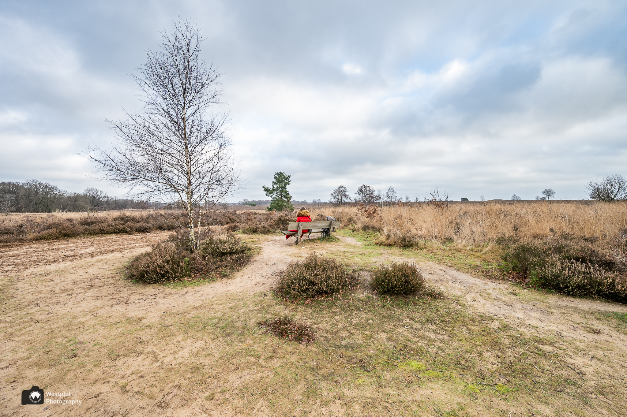 Eindelijk naar het Speulderbos