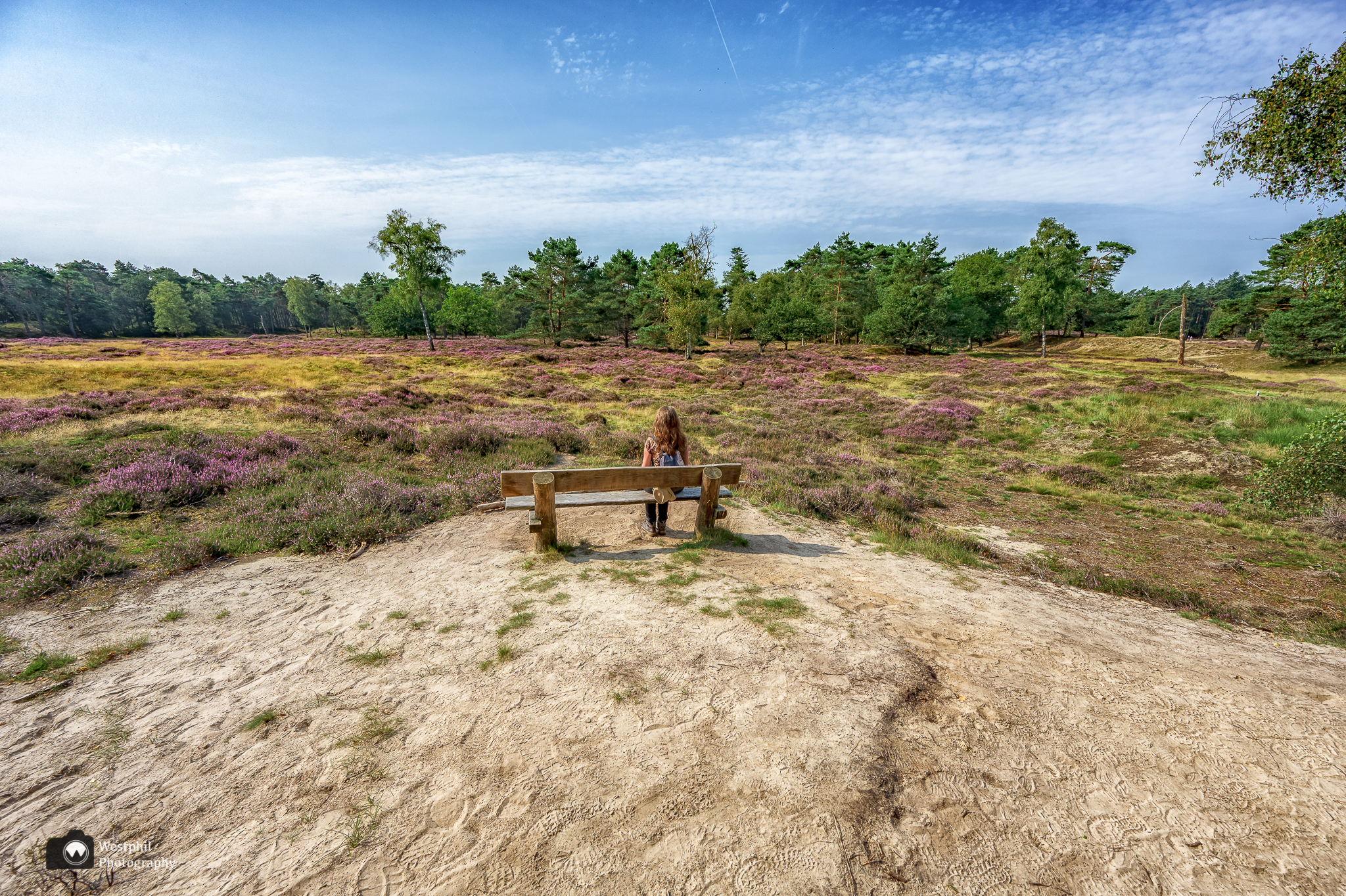 Heidewandeling bij Heidestein en Bornia
