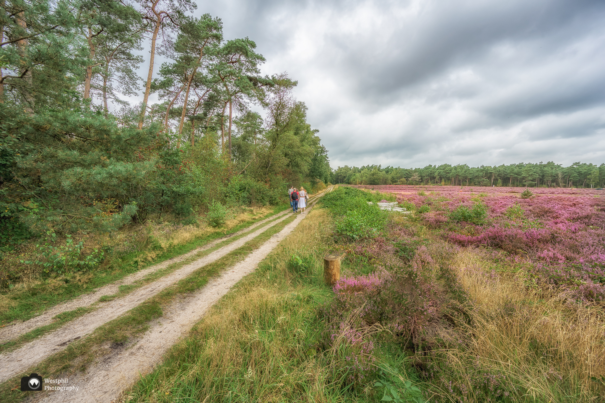 Natuur op de Noord Veluwe