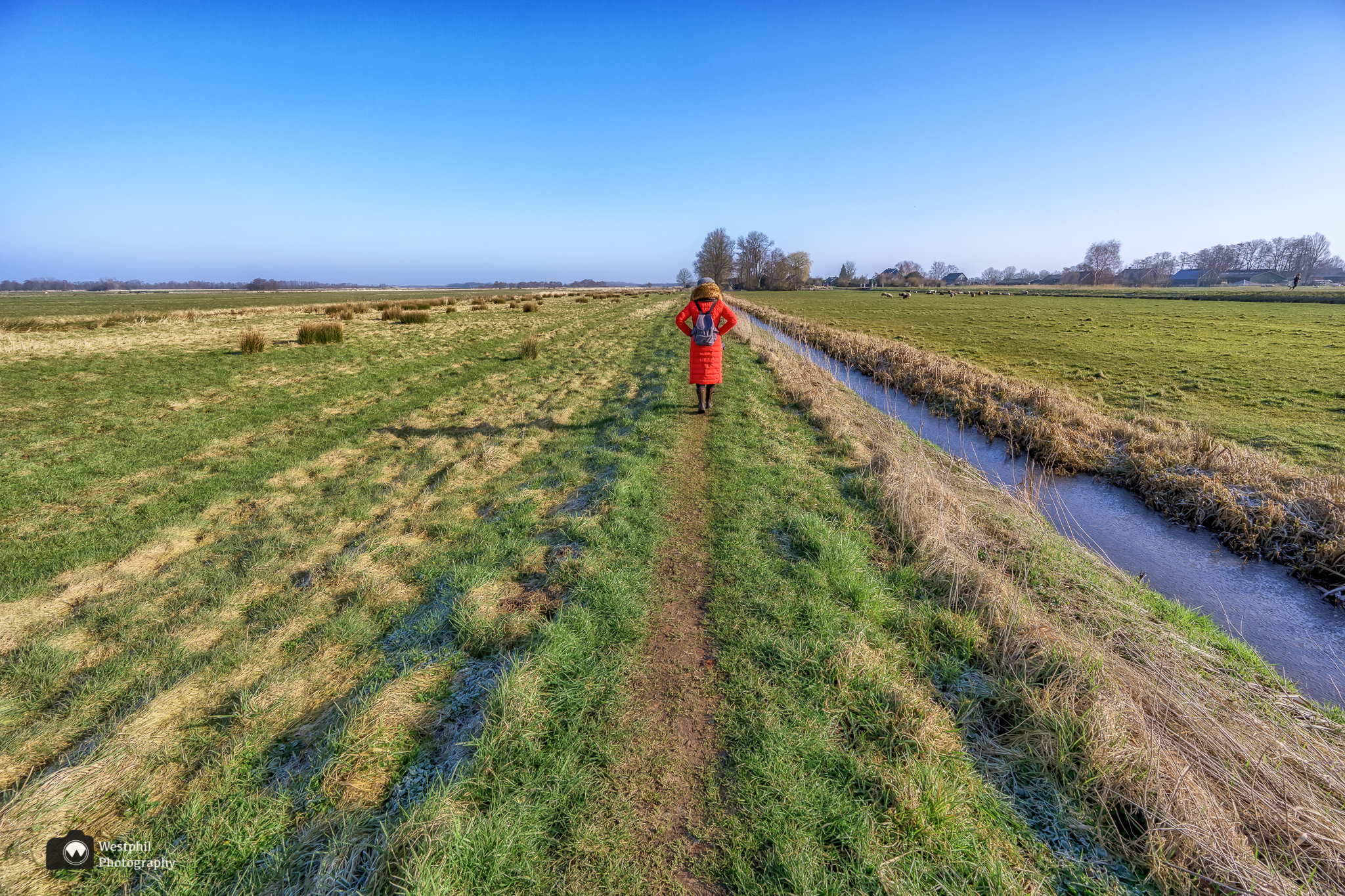 Vredevoetpad door weilanden en langs de Tienhovense Plassen