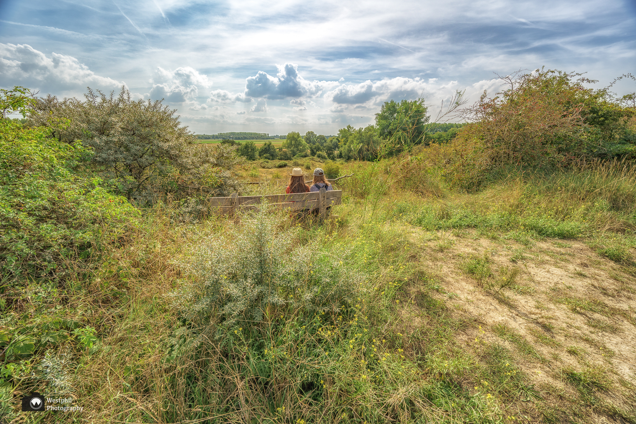 Door de duinen van Goeree. De koploper (deel 2)
