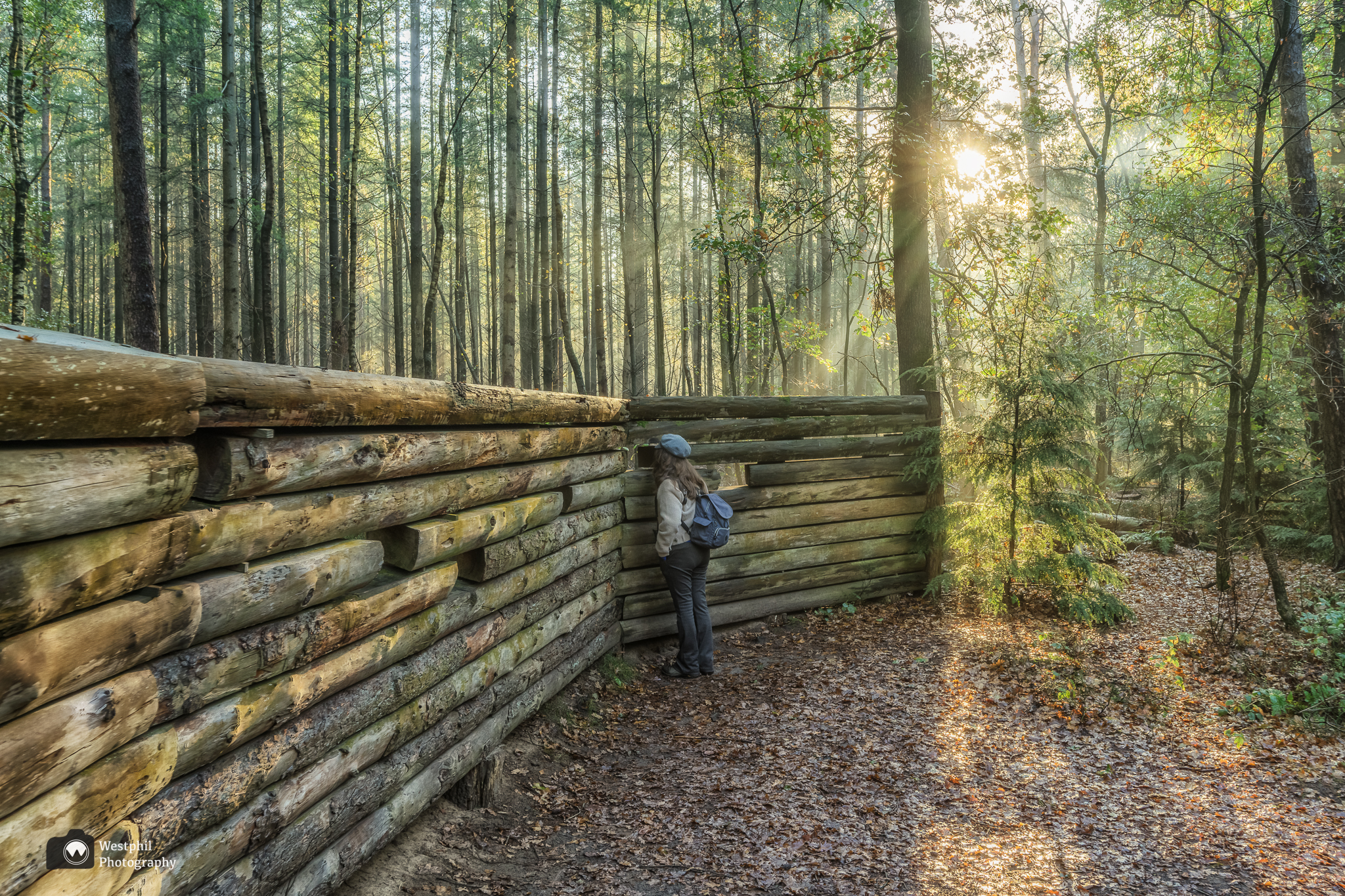 Het Speulderbos vanuit Camping de Vriendschap