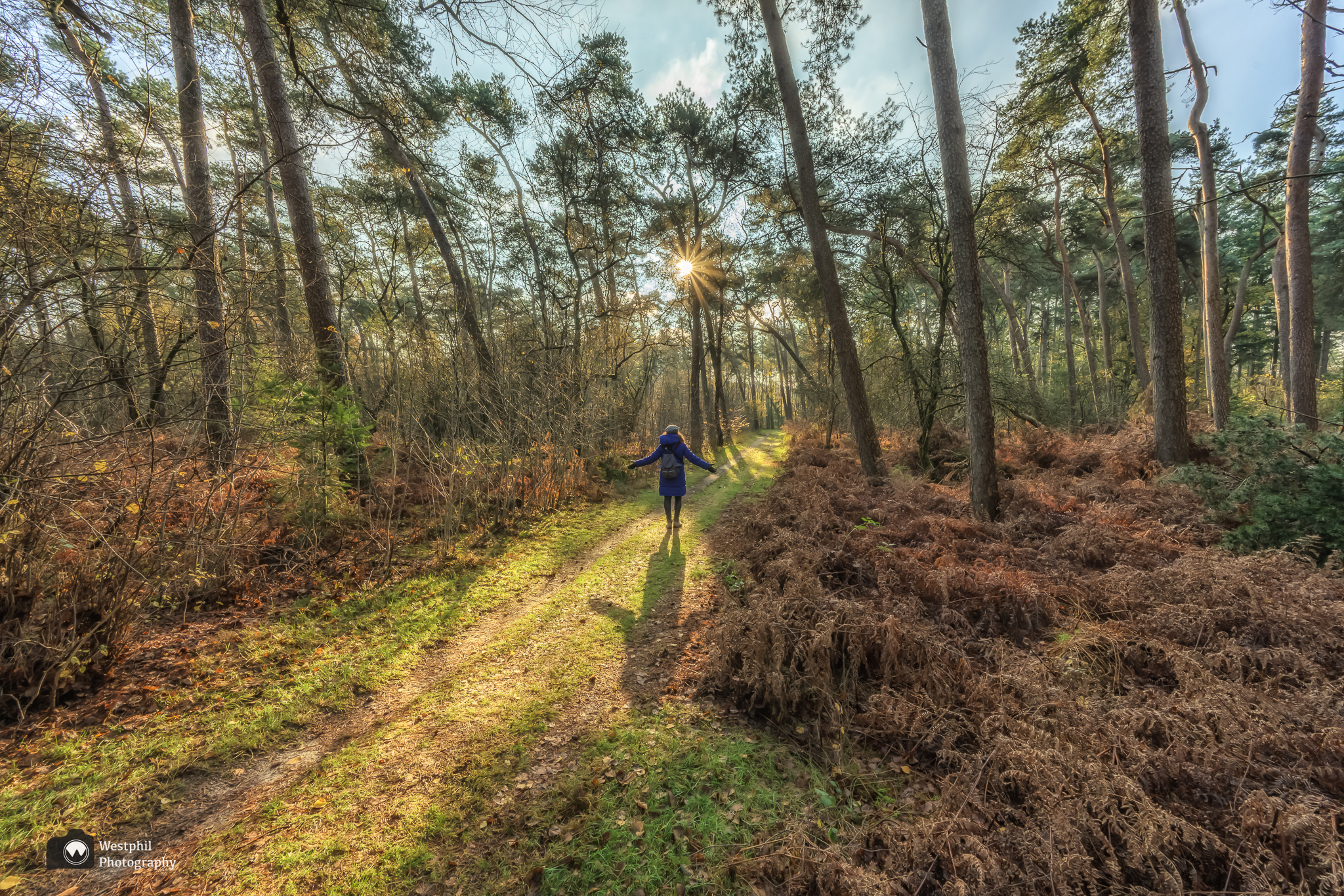 Een herfstwandeling bij Lage Vuursche