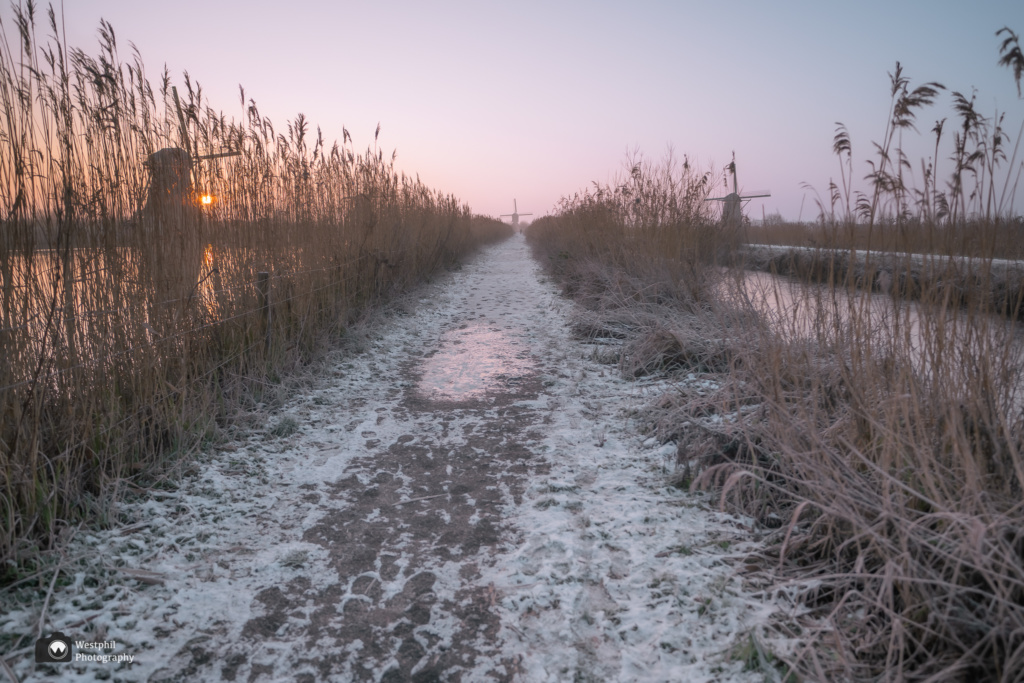 Wandelen bij Kinderdijk