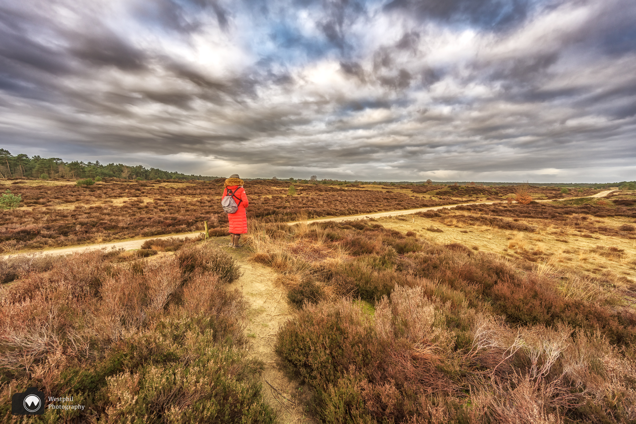 Wandelen door het Kootwijkerzand