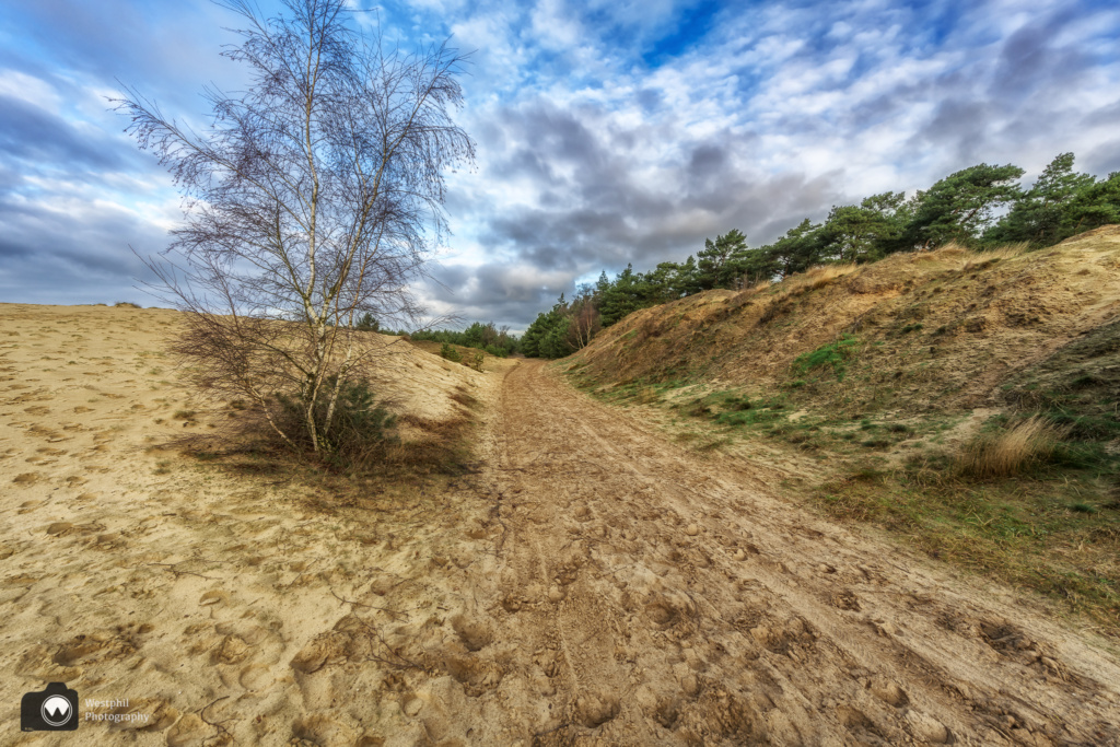 Wandelen door het Kootwijkerzand
