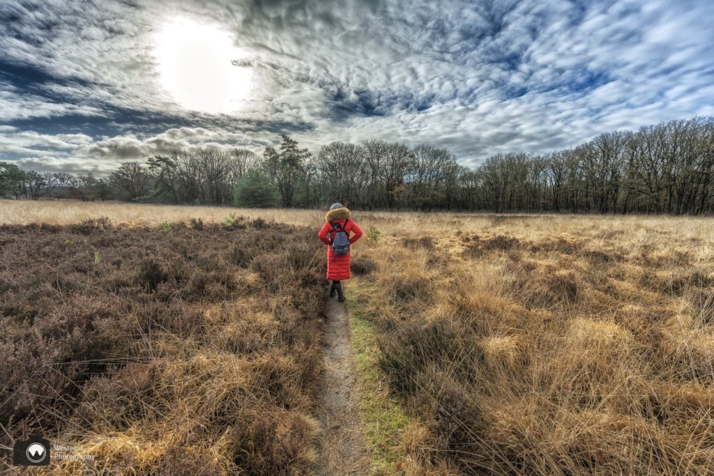 Wandelen door het Kootwijkerzand