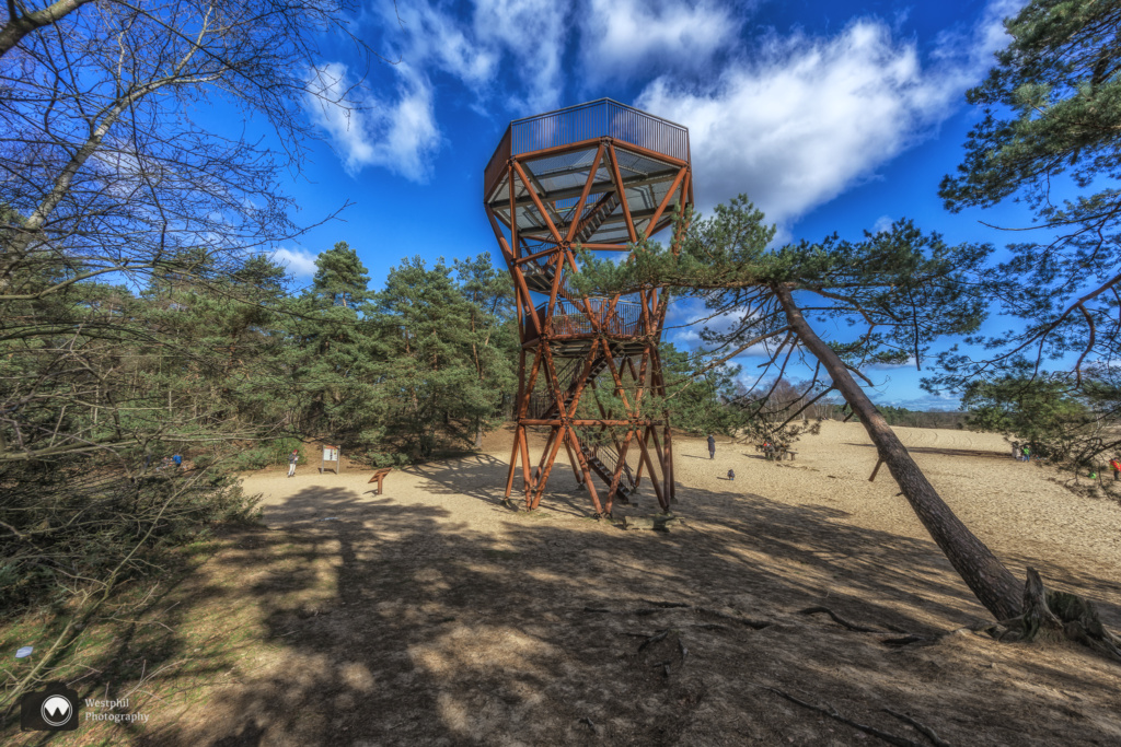 Wandelen door het Kootwijkerzand