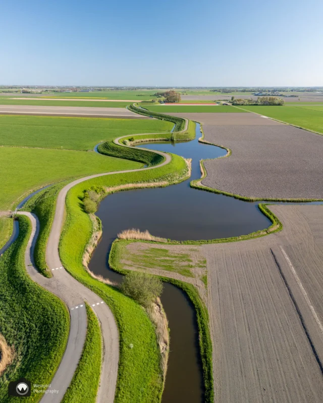 Wielen van de Westfriese Dijk met tulpenveld in de achtergrond

#catch_holland
#dronephotography
#dutch_connextion
#dutch_shooters
#dutchcaptures
#heelnederland_fotografeert
#holland_photolovers
#hollandinbeeld
#ig_discover_holland
#laagholland
#nederland_ontdekt
#raw_drone
#raweurope
#super_holland
#total_netherlands
#tv_aqua
#VisitNetherlands
#wandelnetwerknoordholland
#dronephotography
#drones
#photography
#droneoftheday
#dronelife
#djiglobal
#raw_drone
#djimini3pro